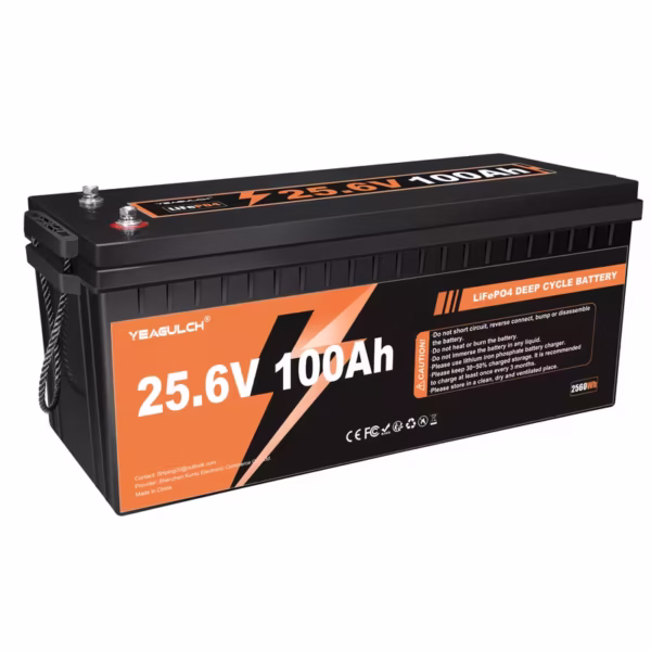 Batería Recargable LiFePO4 Li-Ion 24V 100Ah